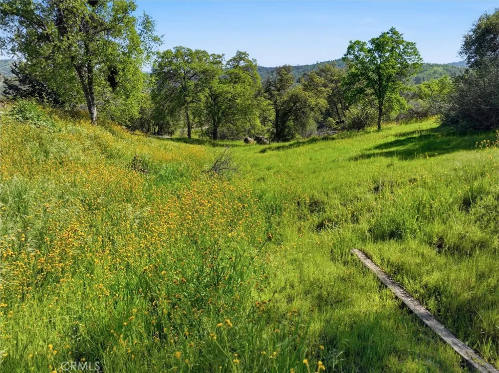 31749 Road 400 Coarsegold, CA 93614