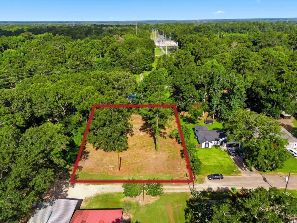 1310 S Franklin Avenue Cleveland, TX 77327