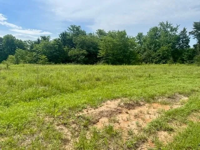 37 RED BIRD LANE Colbert, OK 74733