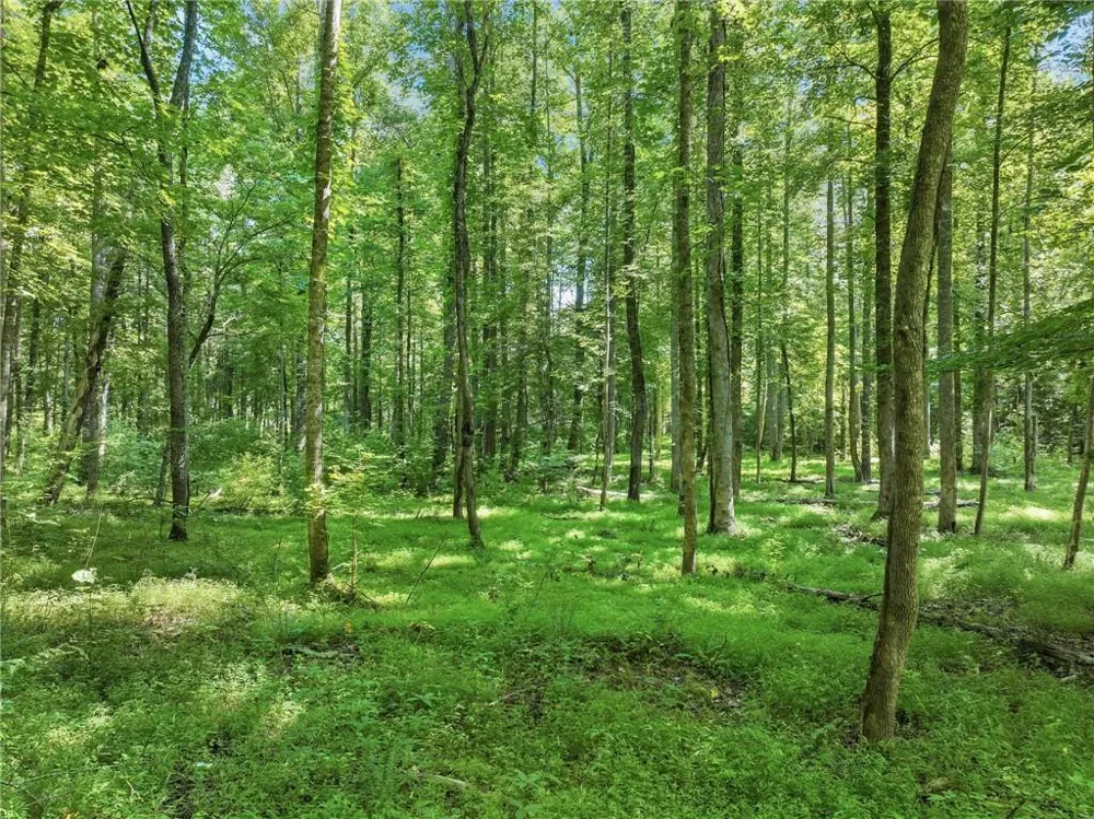 525 Etula Drive Dahlonega, GA 30533