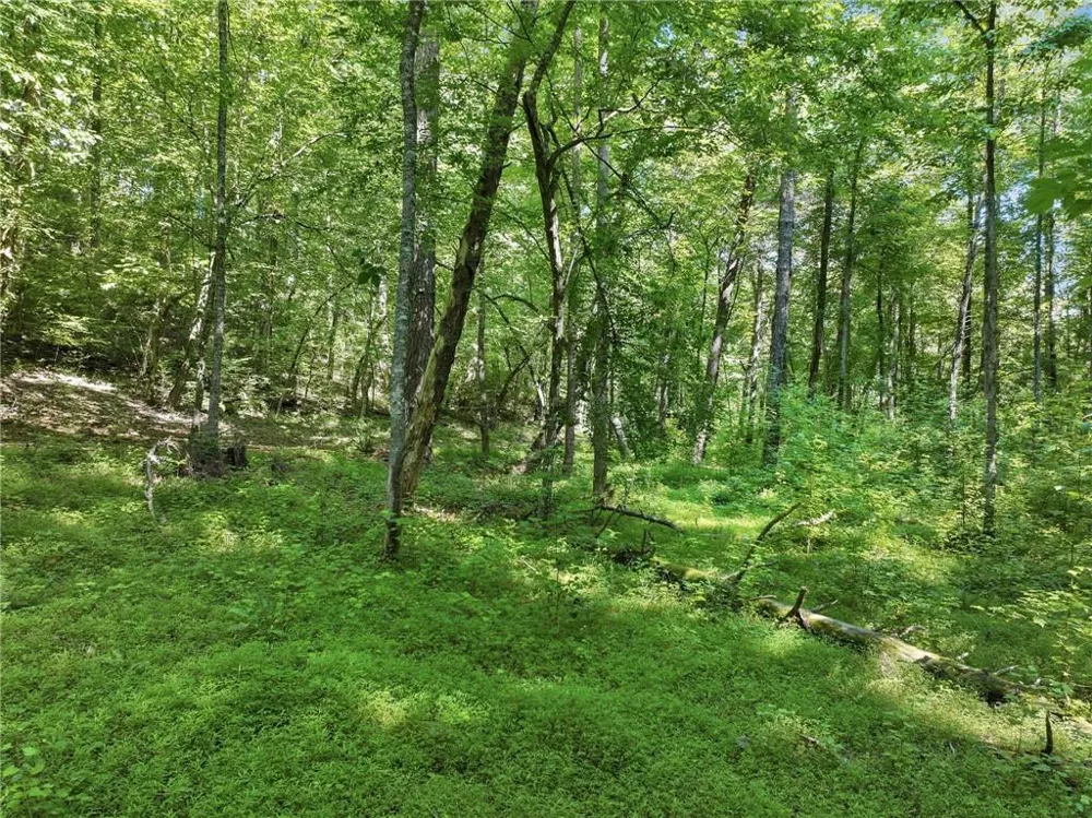 525 Etula Drive Dahlonega, GA 30533