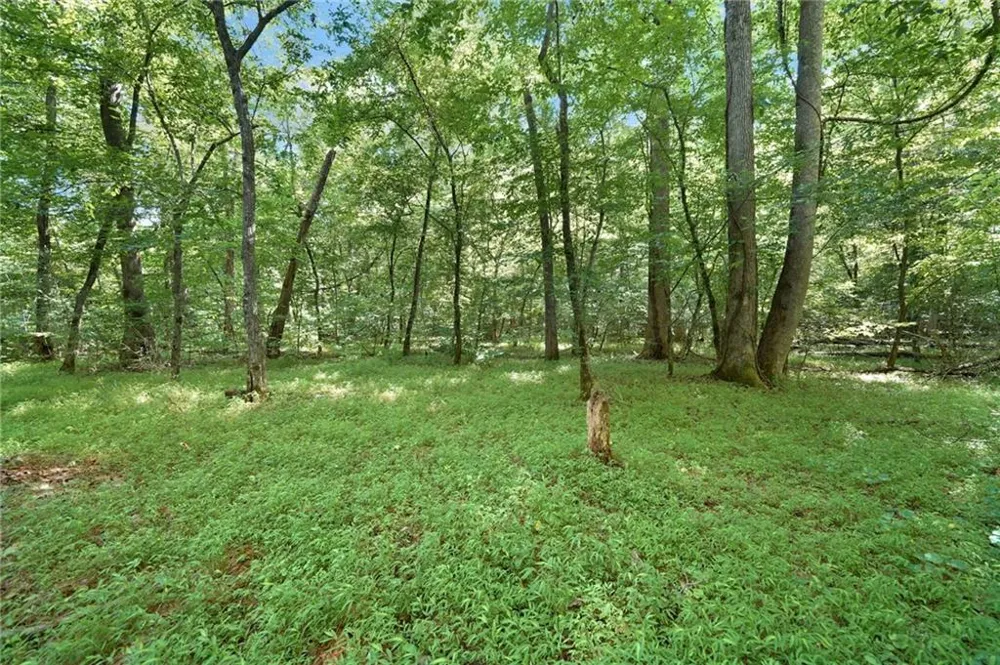 525 Etula Drive Dahlonega, GA 30533