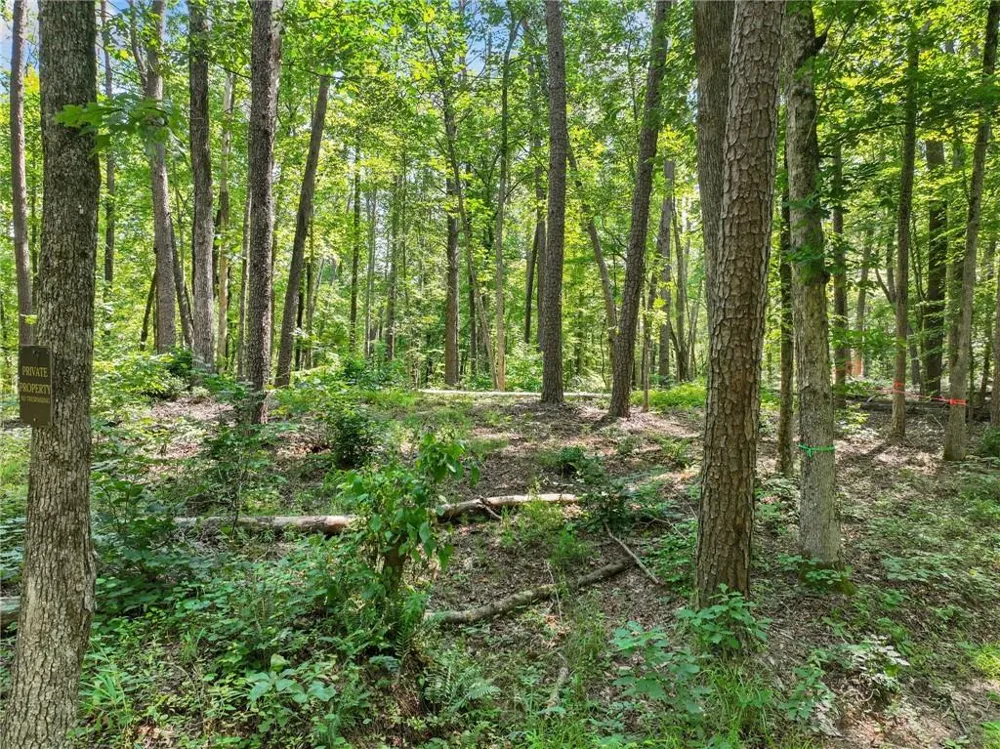 525 Etula Drive Dahlonega, GA 30533