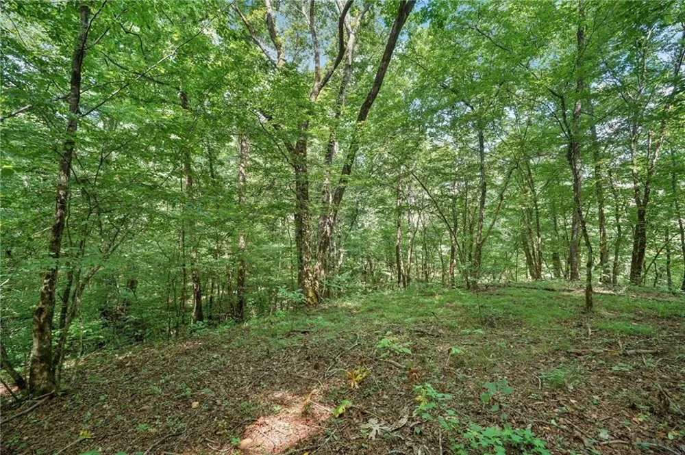525 Etula Drive Dahlonega, GA 30533