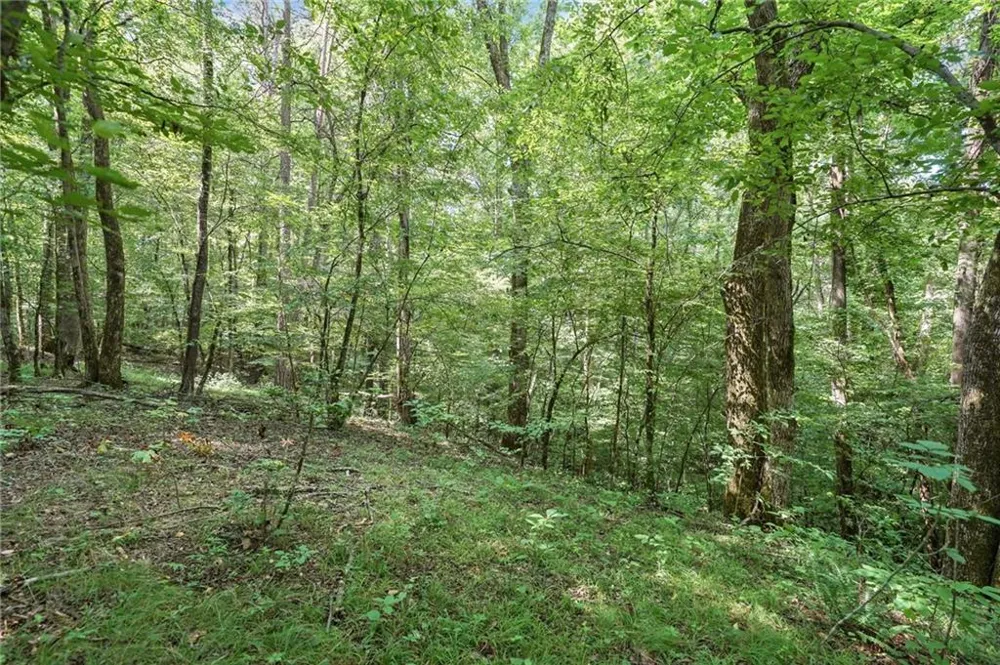 525 Etula Drive Dahlonega, GA 30533
