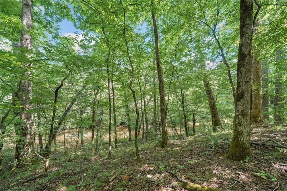 525 Etula Drive Dahlonega, GA 30533