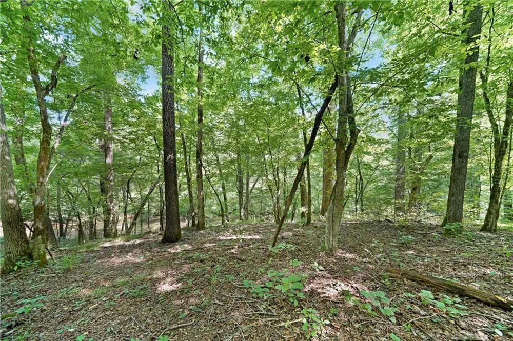 525 Etula Drive Dahlonega, GA 30533