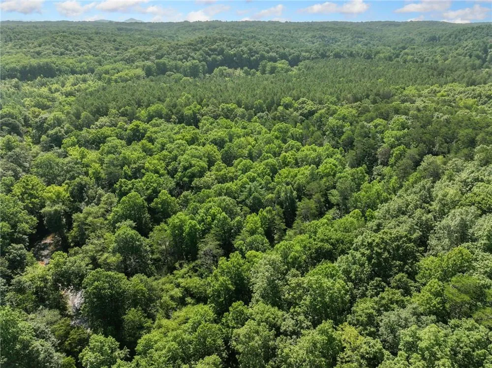 525 Etula Drive Dahlonega, GA 30533