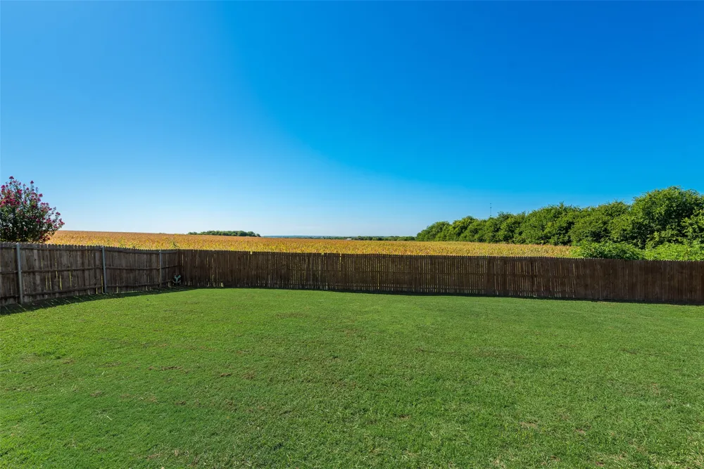 704 Carmen Ana Avenue Grandview, TX 76050