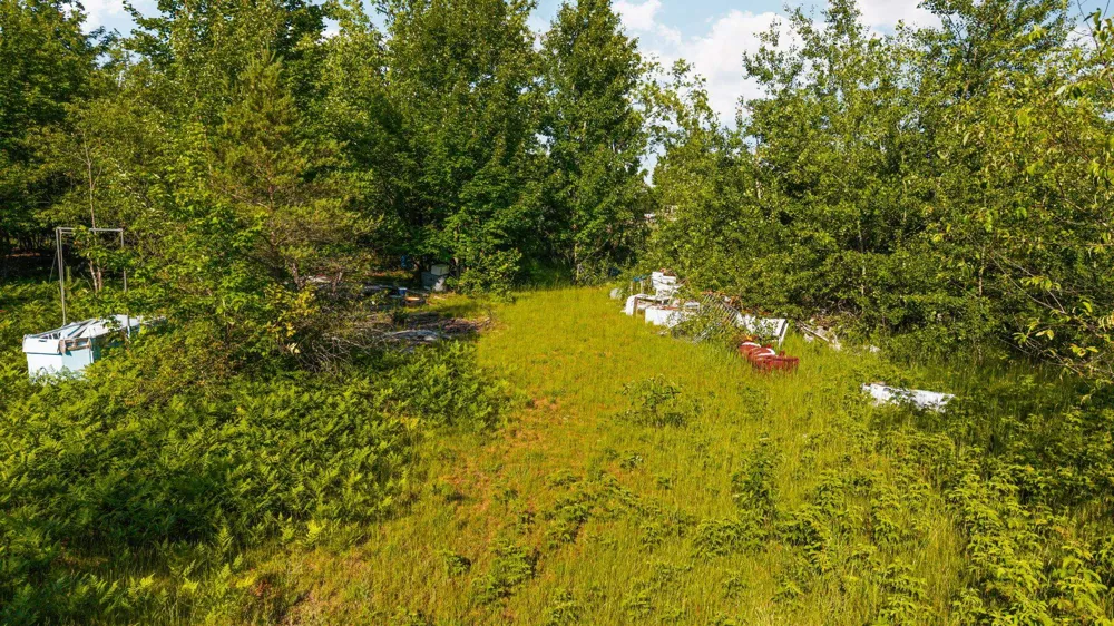 436 Tobias Road Star Township, MI 49730