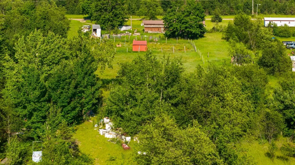 436 Tobias Road Star Township, MI 49730