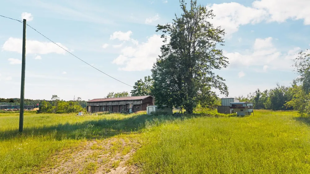 436 Tobias Road Star Township, MI 49730