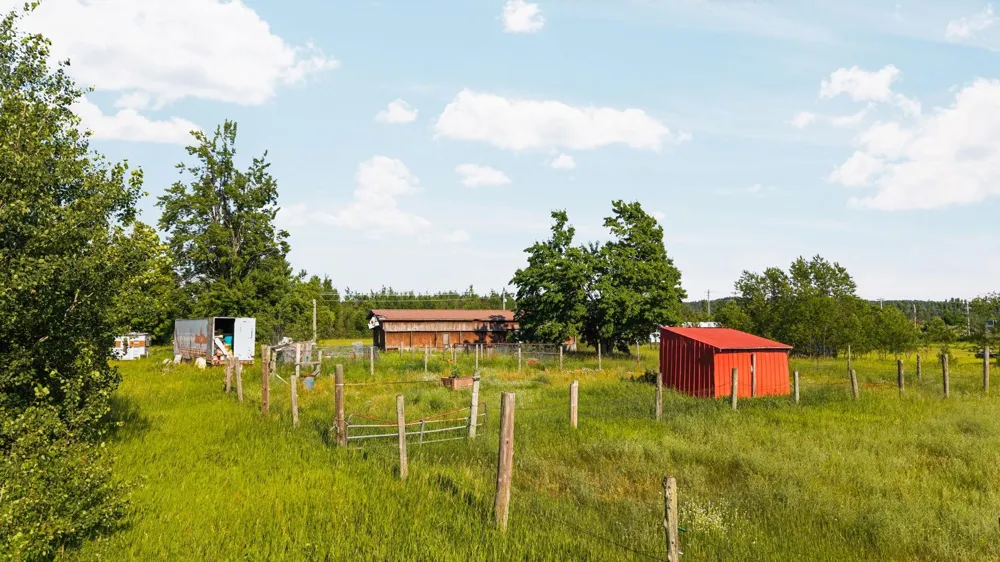 436 Tobias Road Star Township, MI 49730