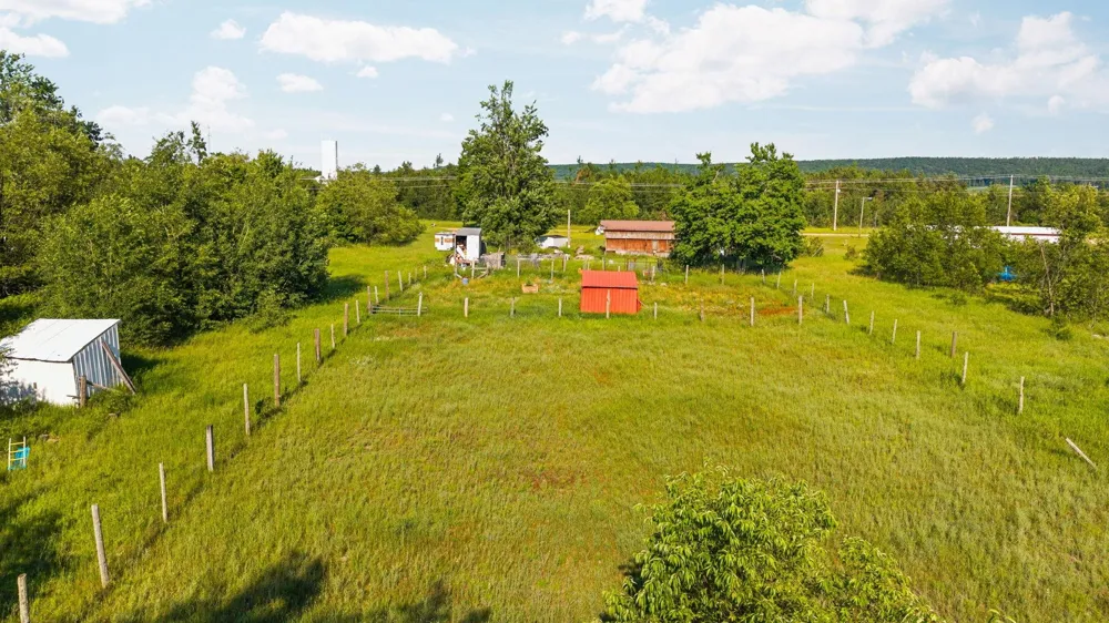 436 Tobias Road Star Township, MI 49730