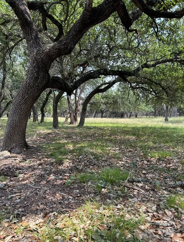 Old Red Ranch Road Dripping Springs, TX 78620
