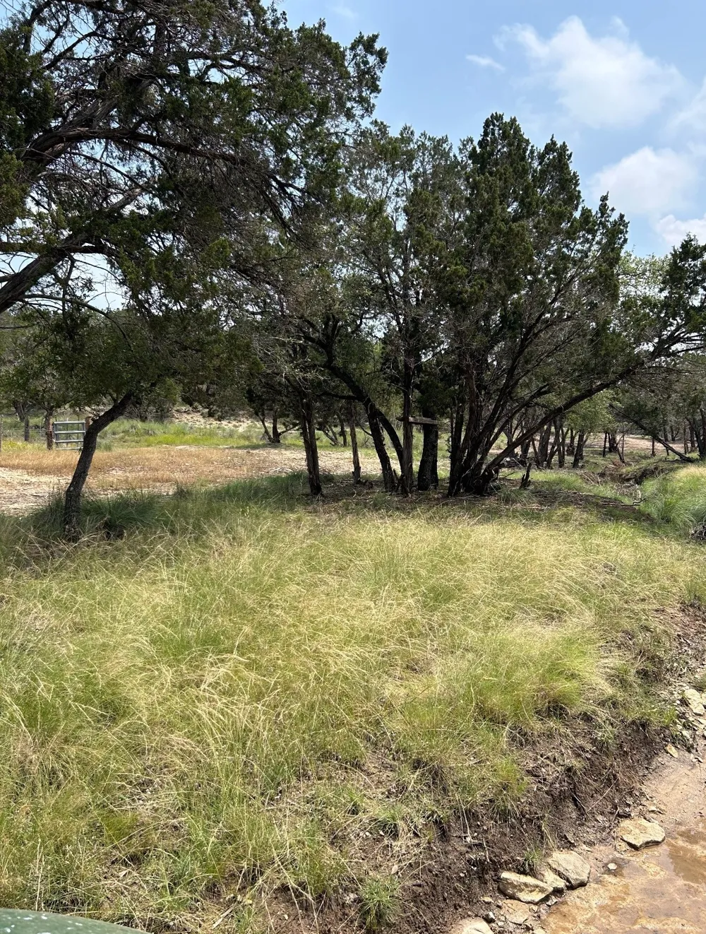 Old Red Ranch Road Dripping Springs, TX 78620