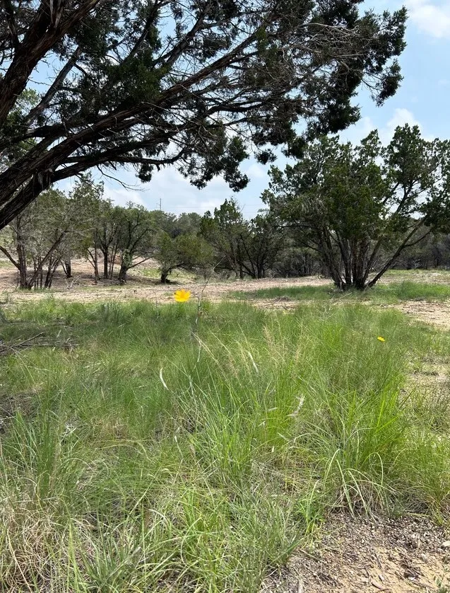 Old Red Ranch Road Dripping Springs, TX 78620