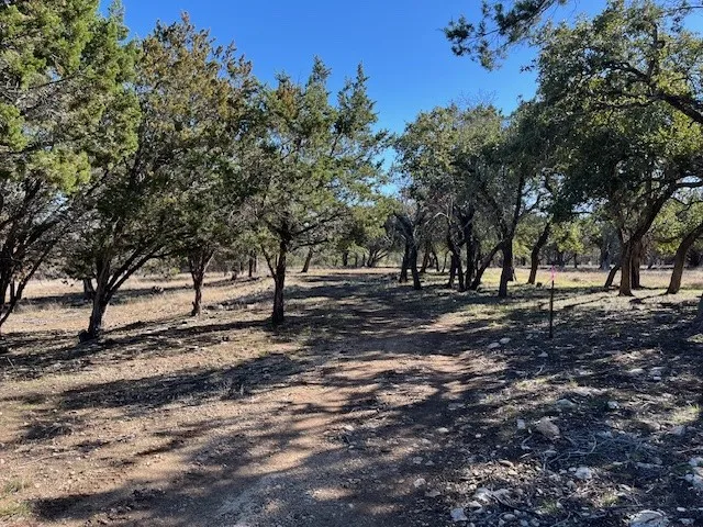 Old Red Ranch Road Dripping Springs, TX 78620