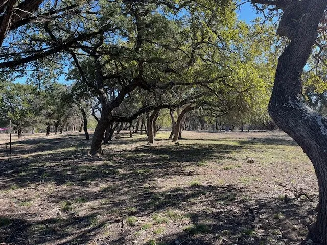 Old Red Ranch Road Dripping Springs, TX 78620