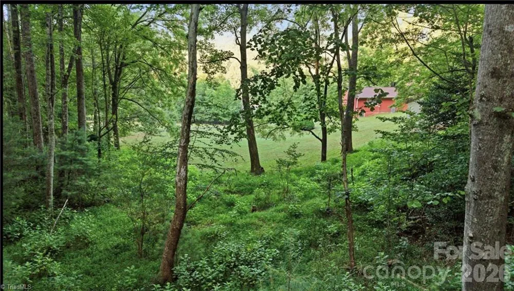 11526 US Highway 421 Purlear, NC 28665