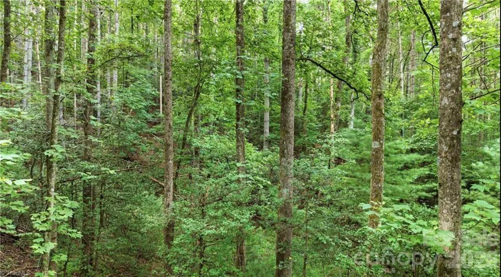 11526 US Highway 421 Purlear, NC 28665
