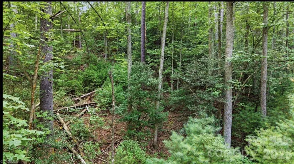 11526 US Highway 421 Purlear, NC 28665
