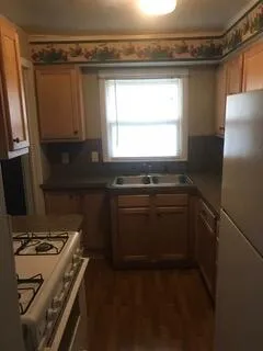 226 Dunlap Street Lansing City, MI 48910
