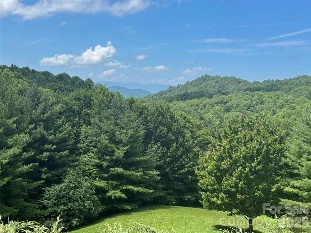 299 Basswood Road Hot Springs, NC 28743