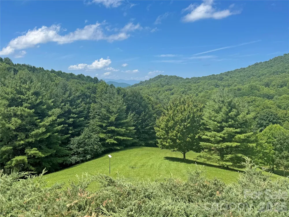 299 Basswood Road Hot Springs, NC 28743