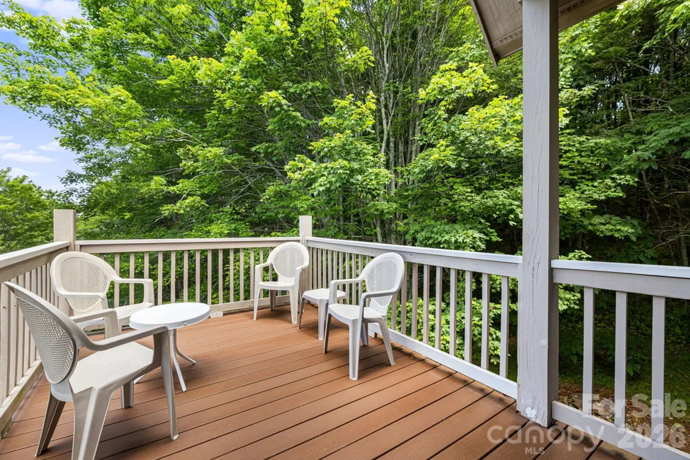 299 Basswood Road Hot Springs, NC 28743