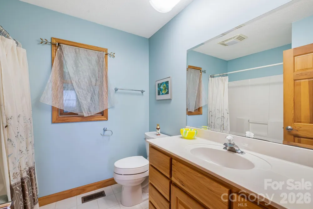 299 Basswood Road Hot Springs, NC 28743