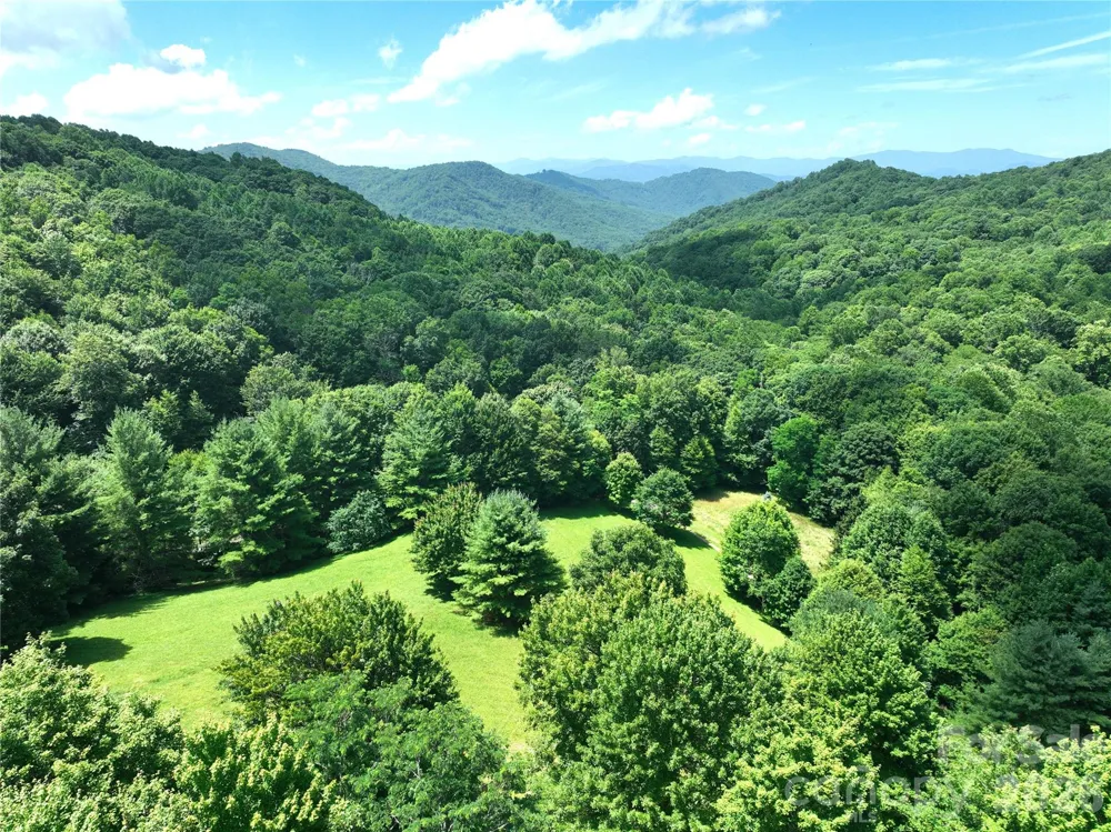 299 Basswood Road Hot Springs, NC 28743