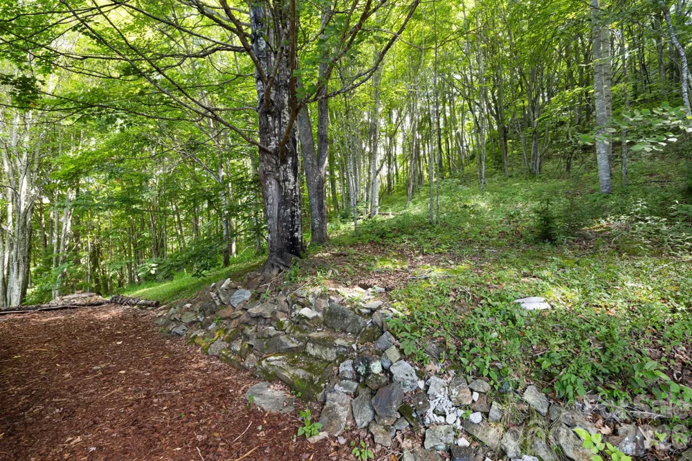 299 Basswood Road Hot Springs, NC 28743
