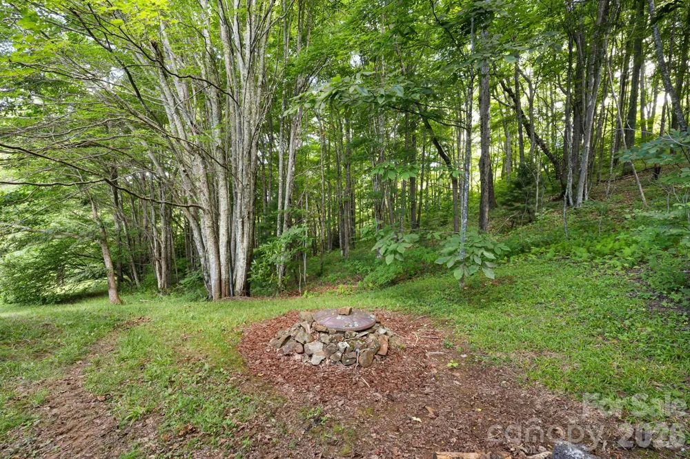 299 Basswood Road Hot Springs, NC 28743