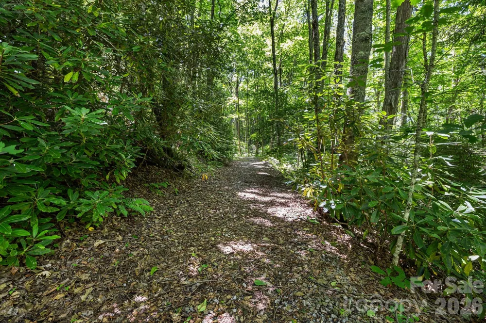299 Basswood Road Hot Springs, NC 28743