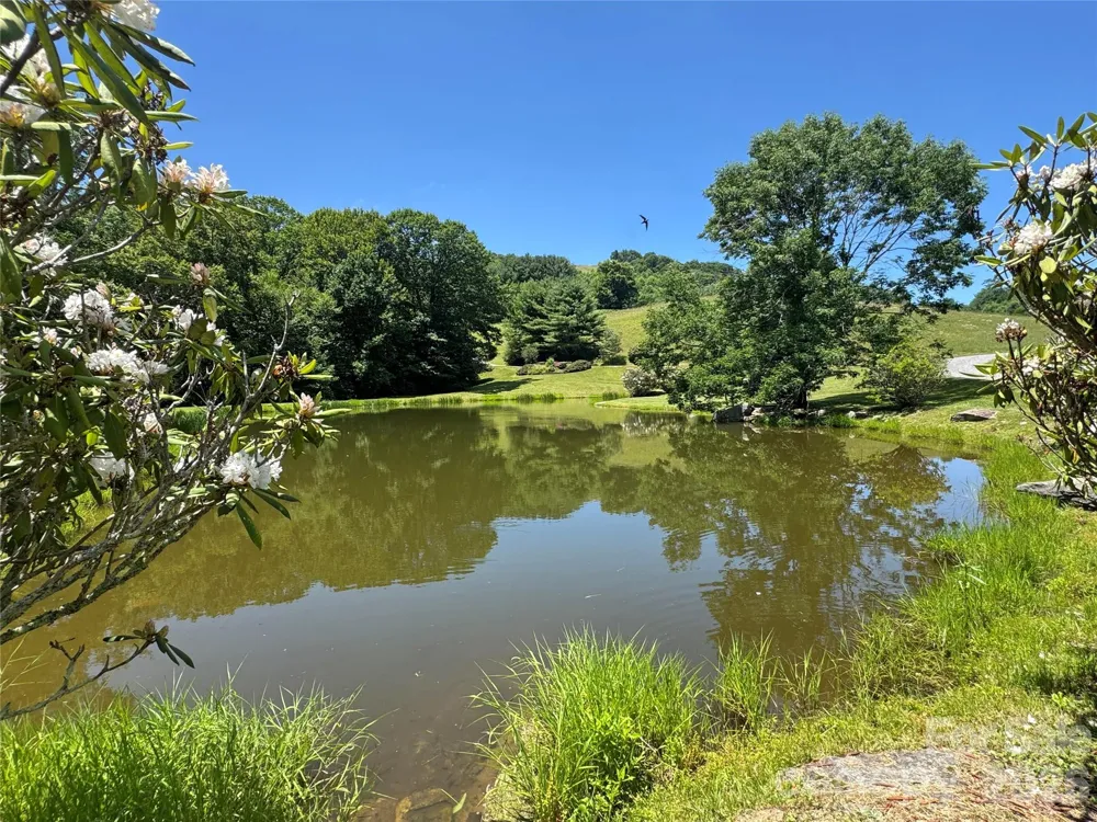299 Basswood Road Hot Springs, NC 28743