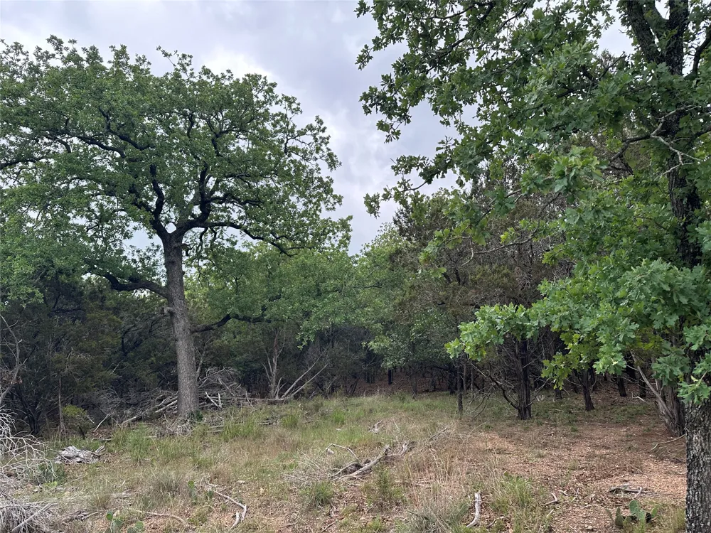 126 Cottonwood Drive Gatesville, TX 76528