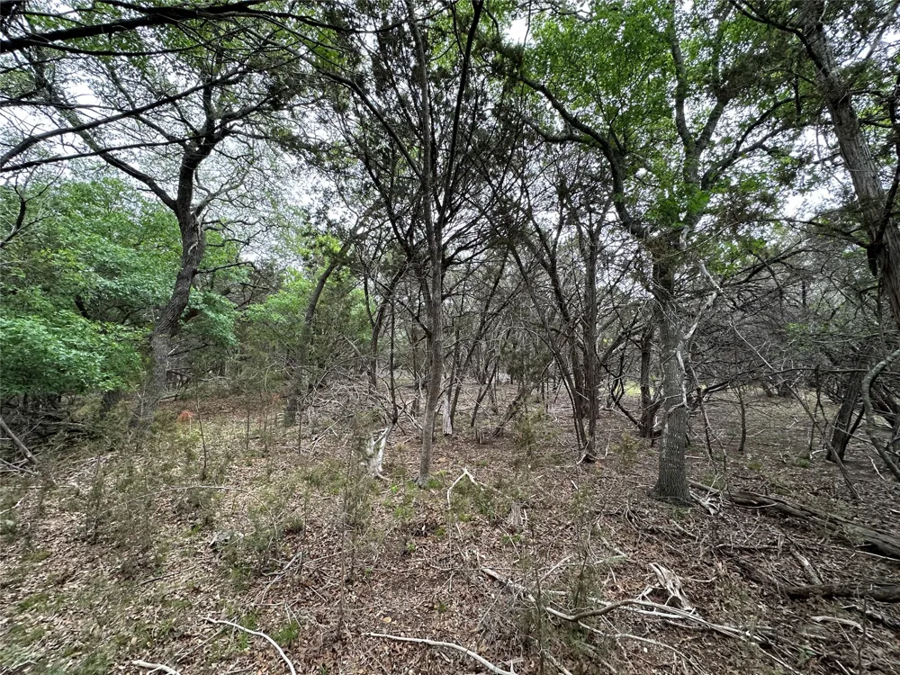 126 Cottonwood Drive Gatesville, TX 76528