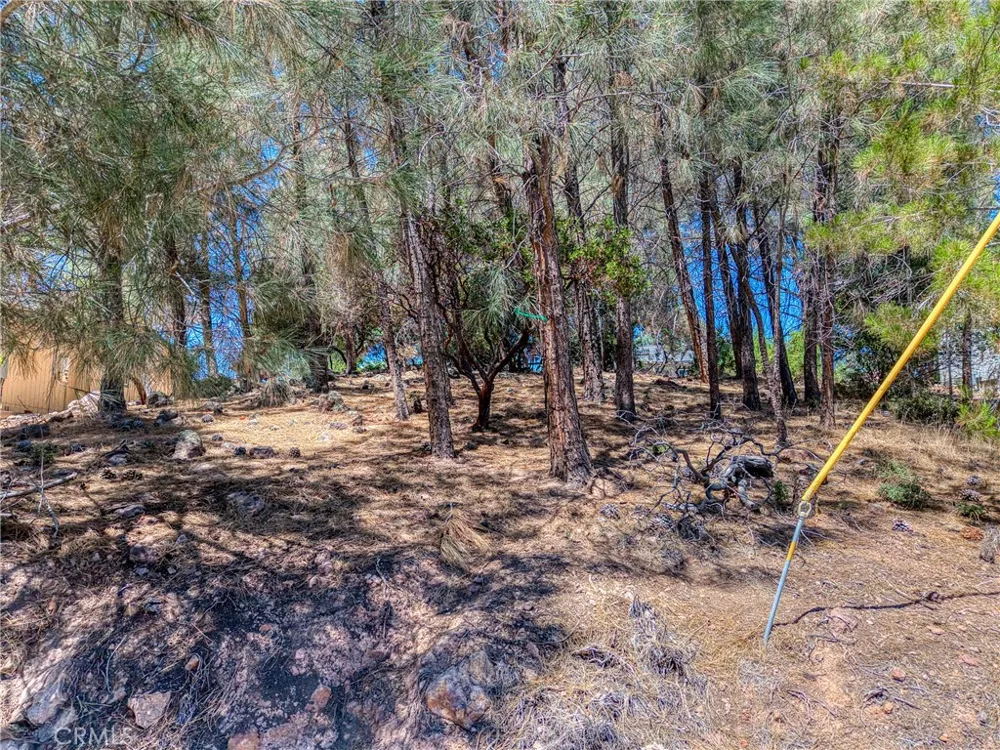 10266 Hok Has Ha Kelseyville, CA 95451