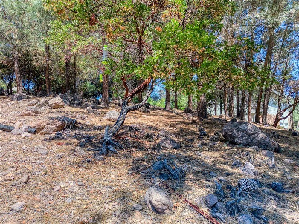 10266 Hok Has Ha Kelseyville, CA 95451