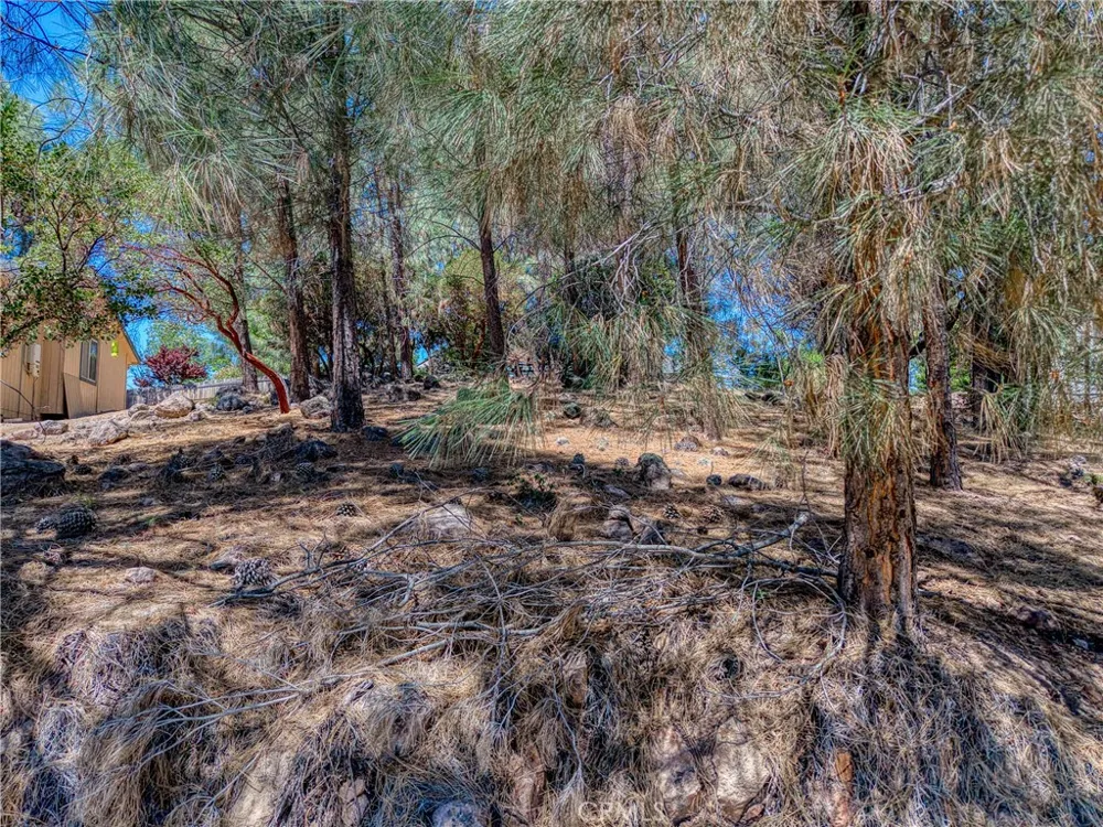 10266 Hok Has Ha Kelseyville, CA 95451