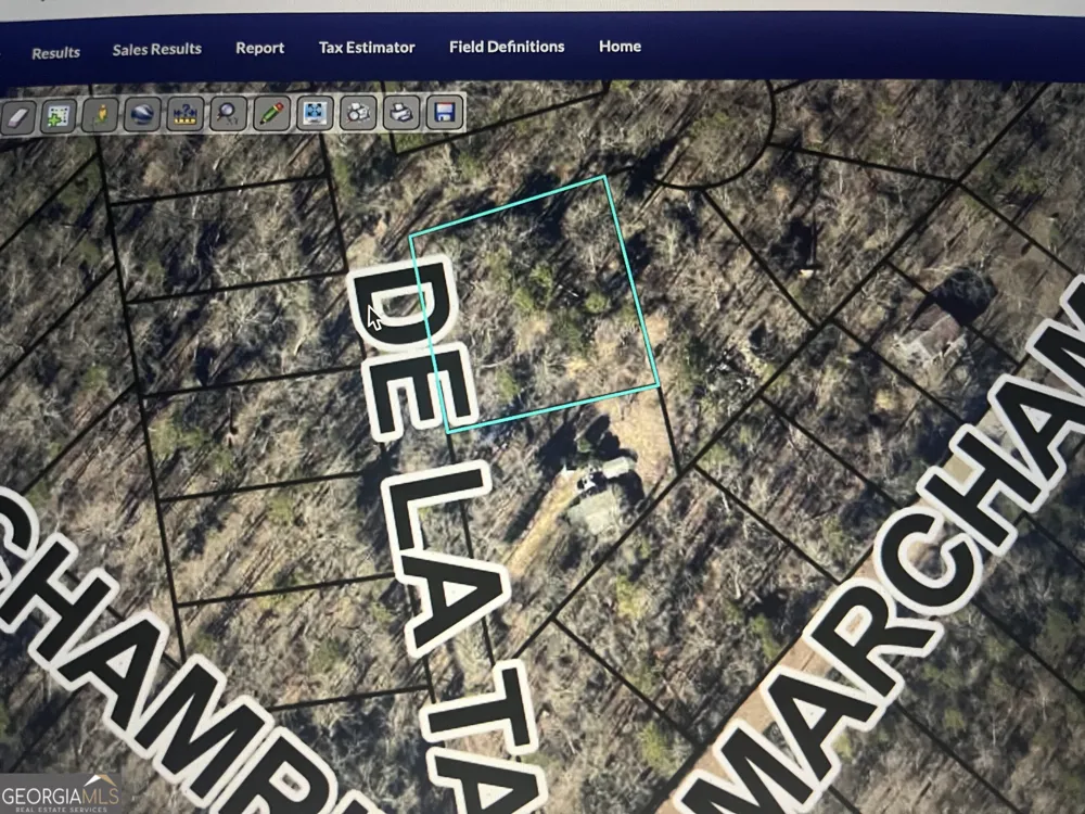 132 De La Taix DR Lavonia, GA 30553
