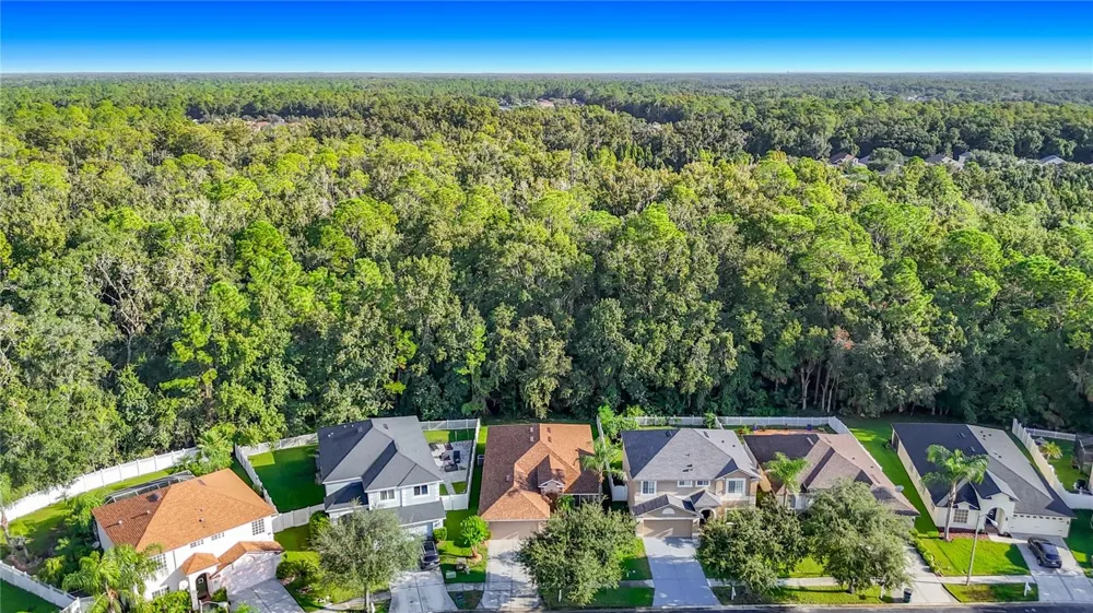 Address Not Shown Land O Lakes, FL 34639