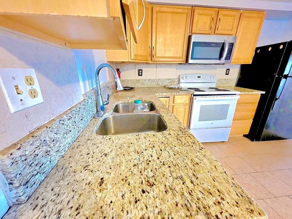 3806 BADEN DRIVE Holiday, FL 34691