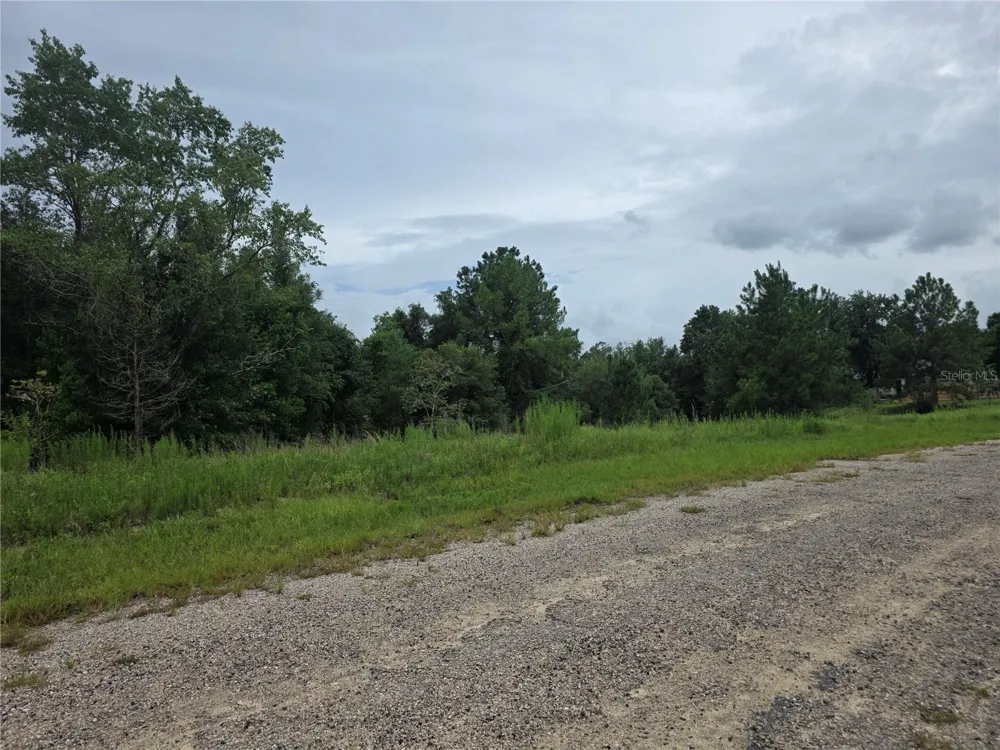 7813 CEDRO ROAD Dunnellon, FL 34434