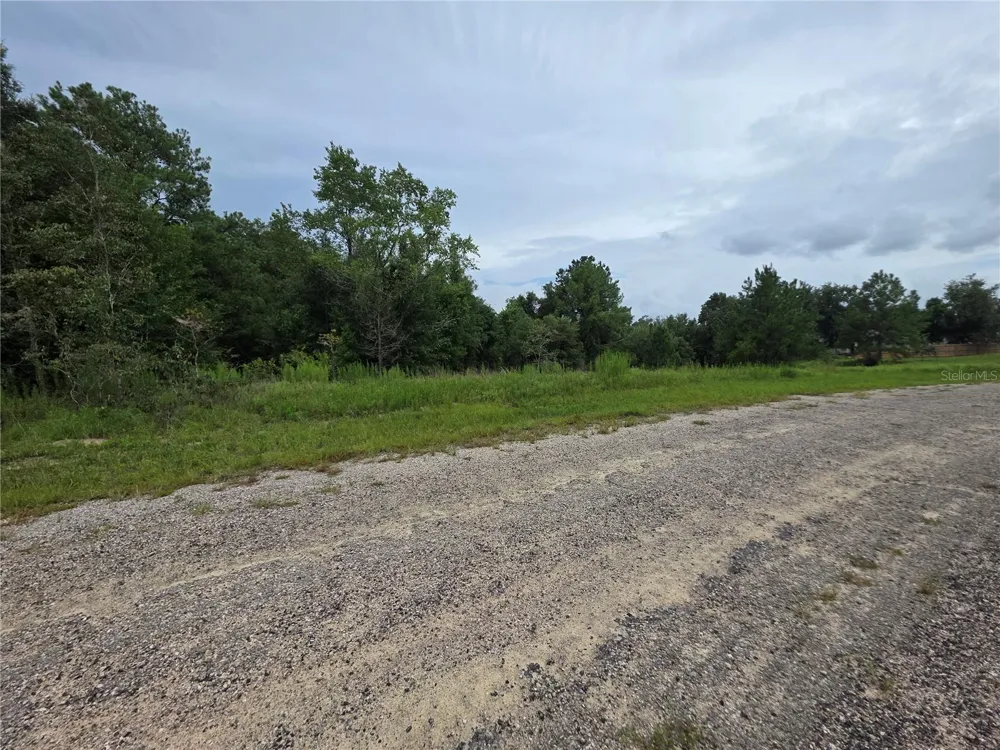 7813 CEDRO ROAD Dunnellon, FL 34434