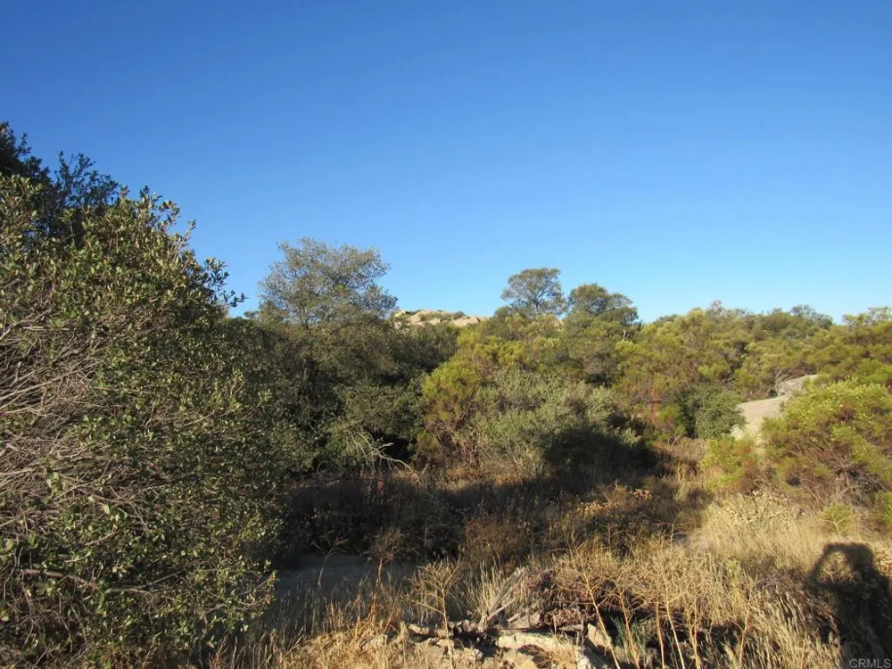 29 Old Highway 80 Boulevard, CA 91905