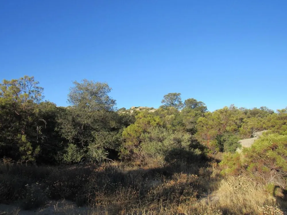 29 Old Highway 80 Boulevard, CA 91905