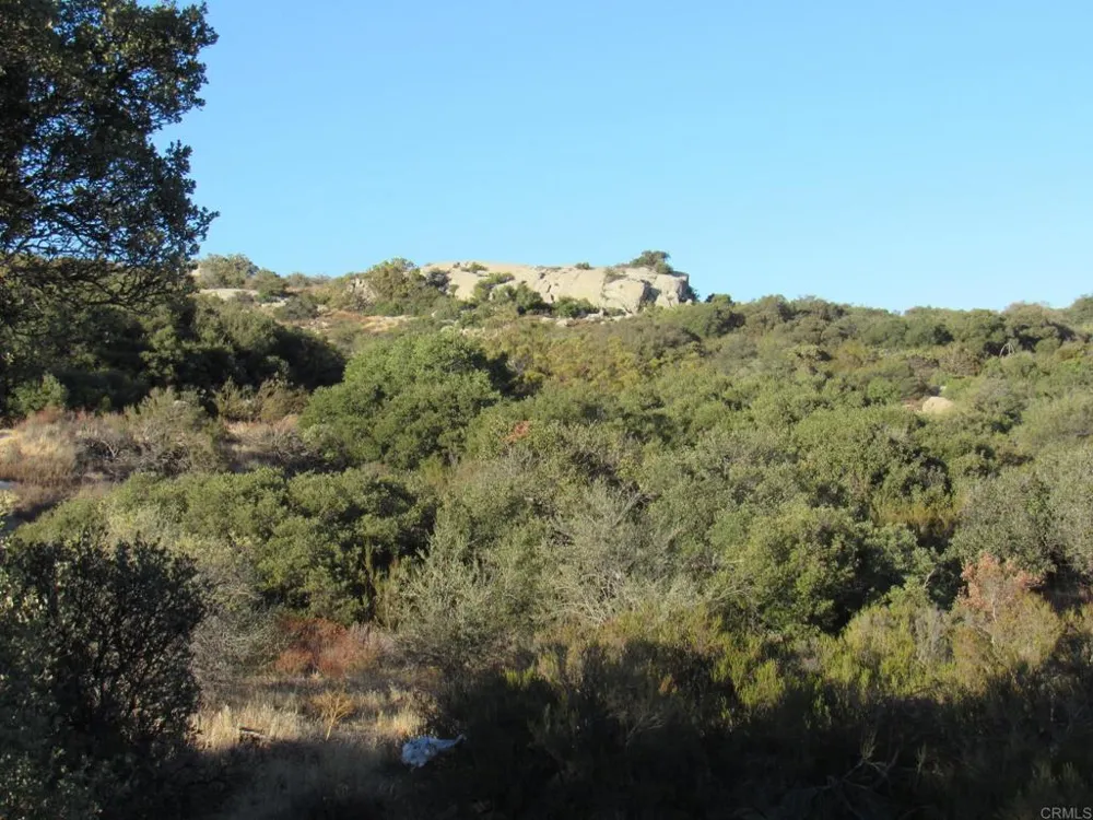 29 Old Highway 80 Boulevard, CA 91905