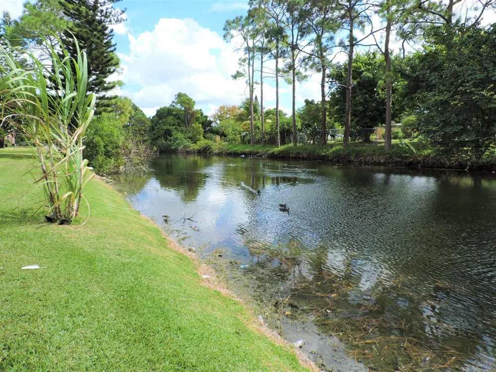 166 Sparrow Drive #2b Royal Palm Beach, FL 33411